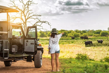 Tanzania Travel Guide