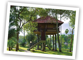 Isoladicocco beach resort