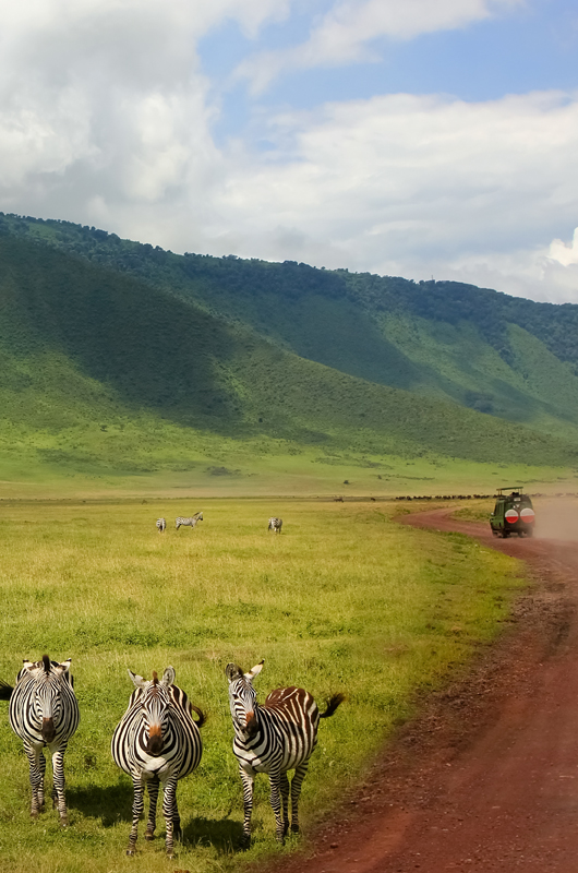 Ngorongoro Conservation Area

