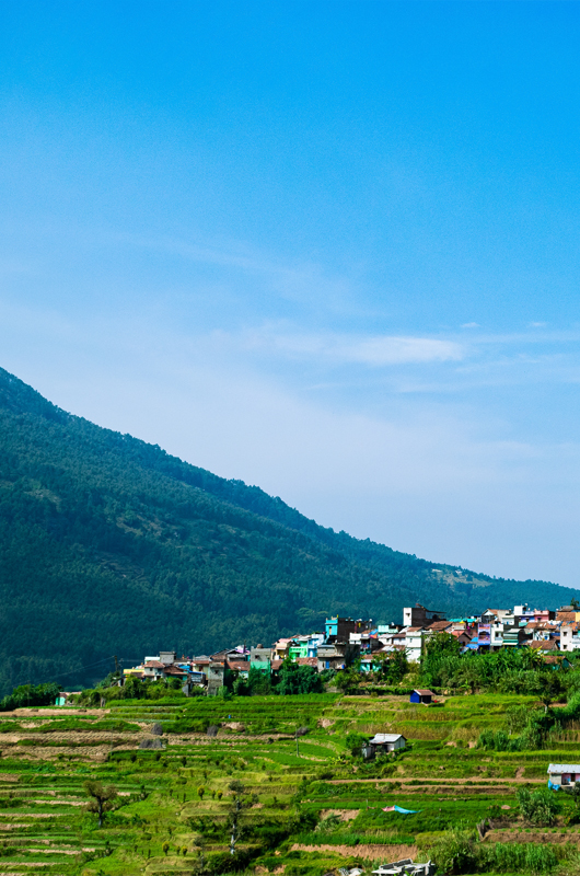 Attractions Munnar
