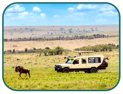 Nairobi masai mara sm