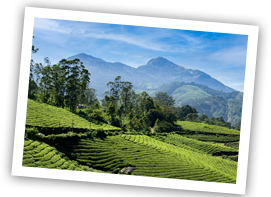 munnar