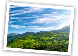 munnar_sigeeing