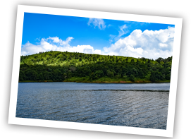 thekkady