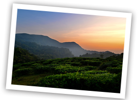munnar-thekkady