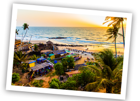 cochin sightseening xs