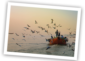 tour-varanasi
