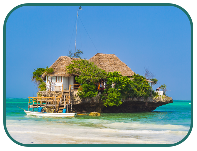 Zanzibar homed