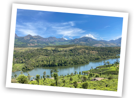 wildlife thekkady xs