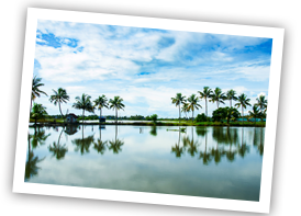 kum kumarakom xs