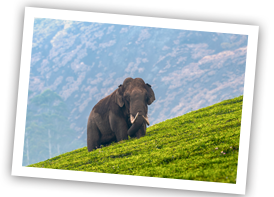 alleppey to poovar xs