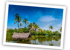 explore poovar xs