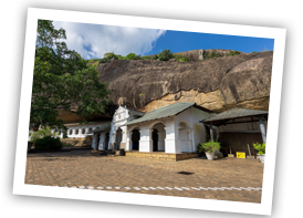 Negombo dambulla xs
