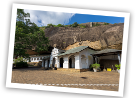 Negombo sri lanka dambulla sm