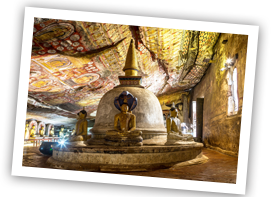 Dambulla xs
