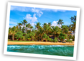Negombo sri lanka bentota sm