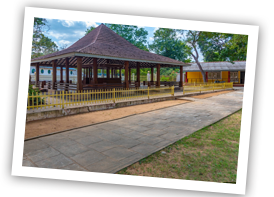 Kataragama xs