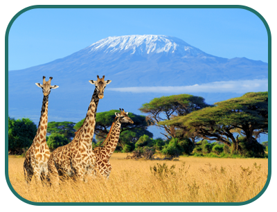 kilimanjaro
