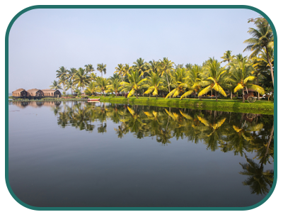 cochin_sightseeing