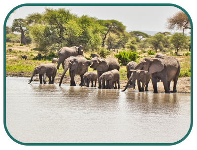 lake_manyara-serena