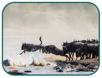central Serengeti national park