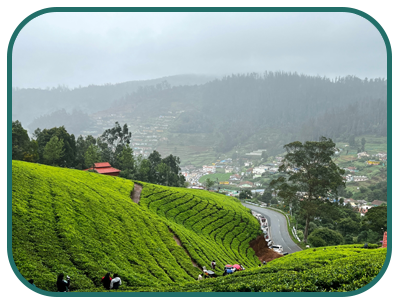 munnar
