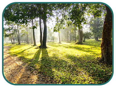 mysore_nagarhole
