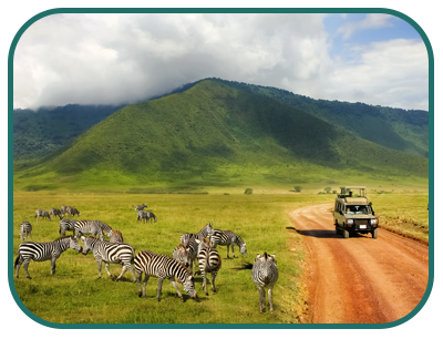 ngorongoro