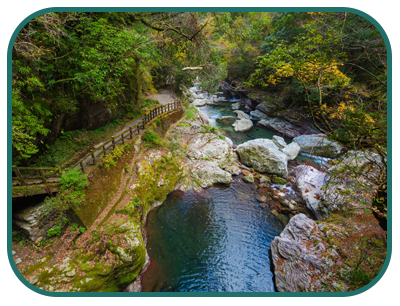 Munnar sightseeing