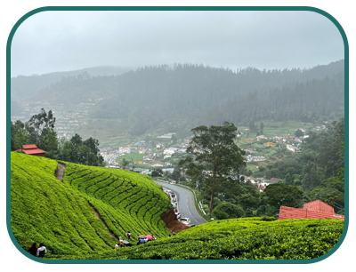 wayanad-ooty