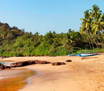 Coastal Trail Of South India