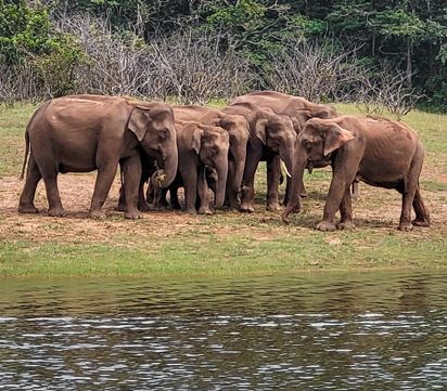 Coastal Trail Of South India